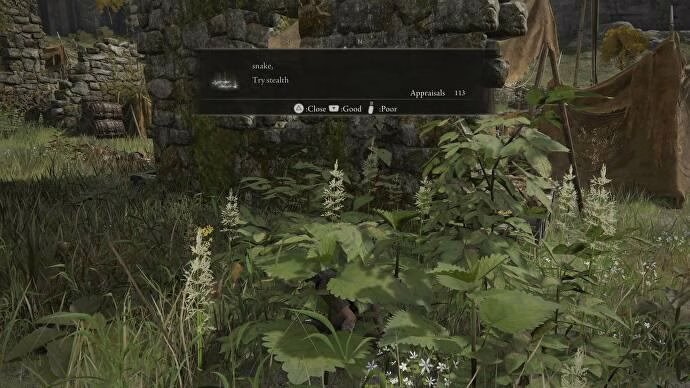 エルデンリングプランクスターはメッセージシステムを乱用しています